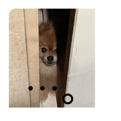 MAH_20250128133811