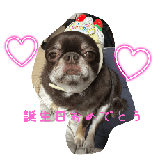 aya_20250128014243