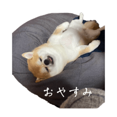 yuki_20250128092738