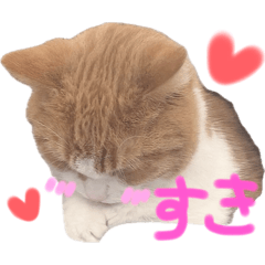 yuki_20250128094014