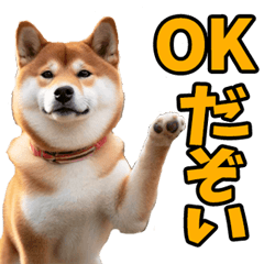 福島弁☆柴犬