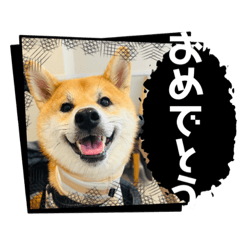 Ryu_20250128125750