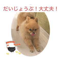 yuina_20250128132528