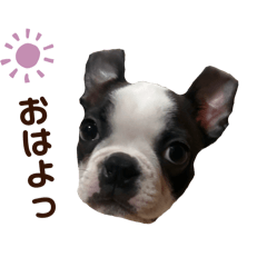 723_20250127215231 – LINE貼圖 | LINE STORE