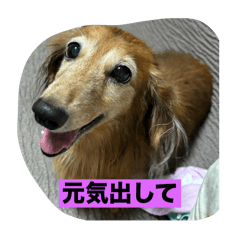 Na_20250128072740