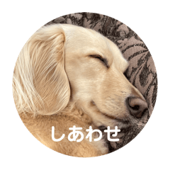 kiika_20250128113924