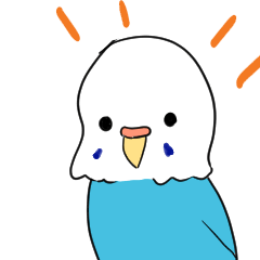 budgerigar illustration 3