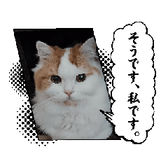 yuko_20250128133711