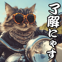 Cool Biker Cat Stickers