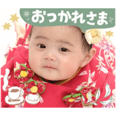 tanuki_20250128141513