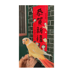 Bonjour香吉士鳥寶