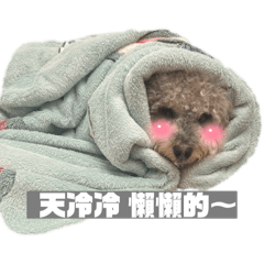 乖乖布朗尼