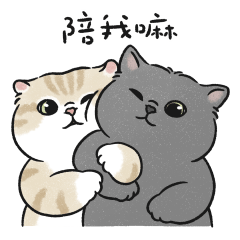 奶油小生甜蜜蜜 (淺奶油虎斑貓)