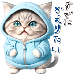 Light blue favorite cat every day