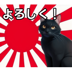 A black cat who loves Japan