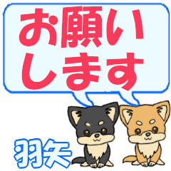 Haneya's letters Chihuahua2