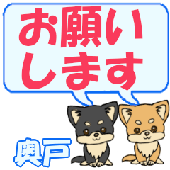 Okudo's letters Chihuahua2