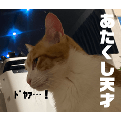 hana_20250128162851