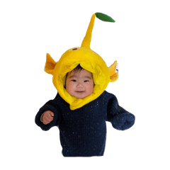 nao_20250128162908