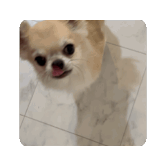 banana_20250128185426