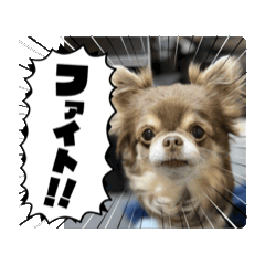 IRIE_20250128194940
