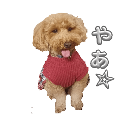 yuto_20250128213829