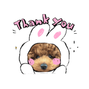 chatarou_20250129004110