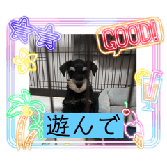 mayu_20250128163749