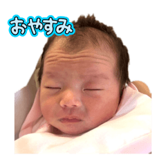 ky_20250128164904