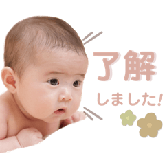 Misa_20250128175759