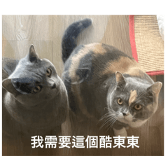 團&奇
