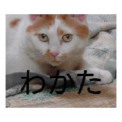 tetsu_20250129095058