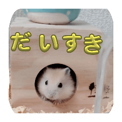 kekokekobo_20250128173253