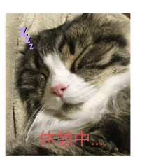Chisa_20250128185149