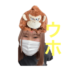 hikari_20250128184134