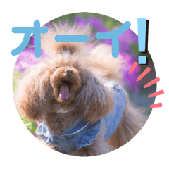 yoshi_20250128210420