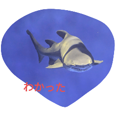 haruharu17_20250128210156
