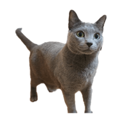 yuna_20250128221934