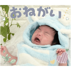 chie_20250128180158