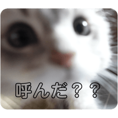 uni_3.6