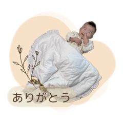 MiSa_20250128235129