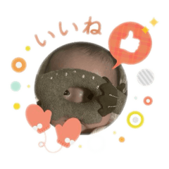 yuka_20250128214333