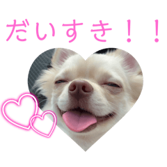 Satomin_20250128220103