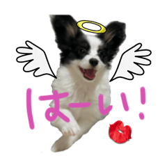 kana_20250129021306