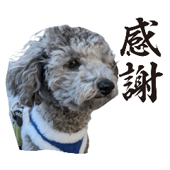 chie_20250129035743