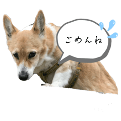 nagi_20250129090233