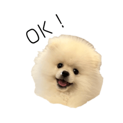 KING_20250128232511