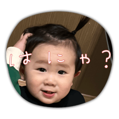 SEIRA_20250128192939