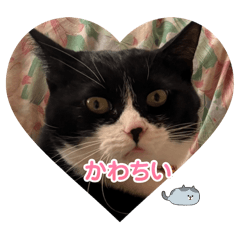 yuki_20250128202043