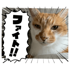 Gon_20250128201843